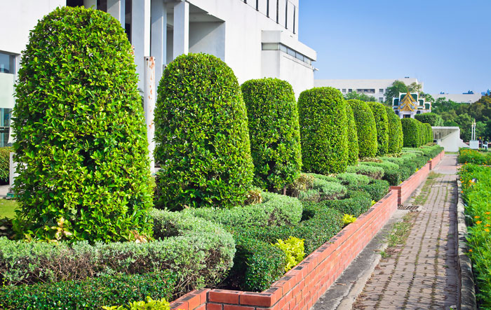 Reliable Tree Services Reliable Tree Services